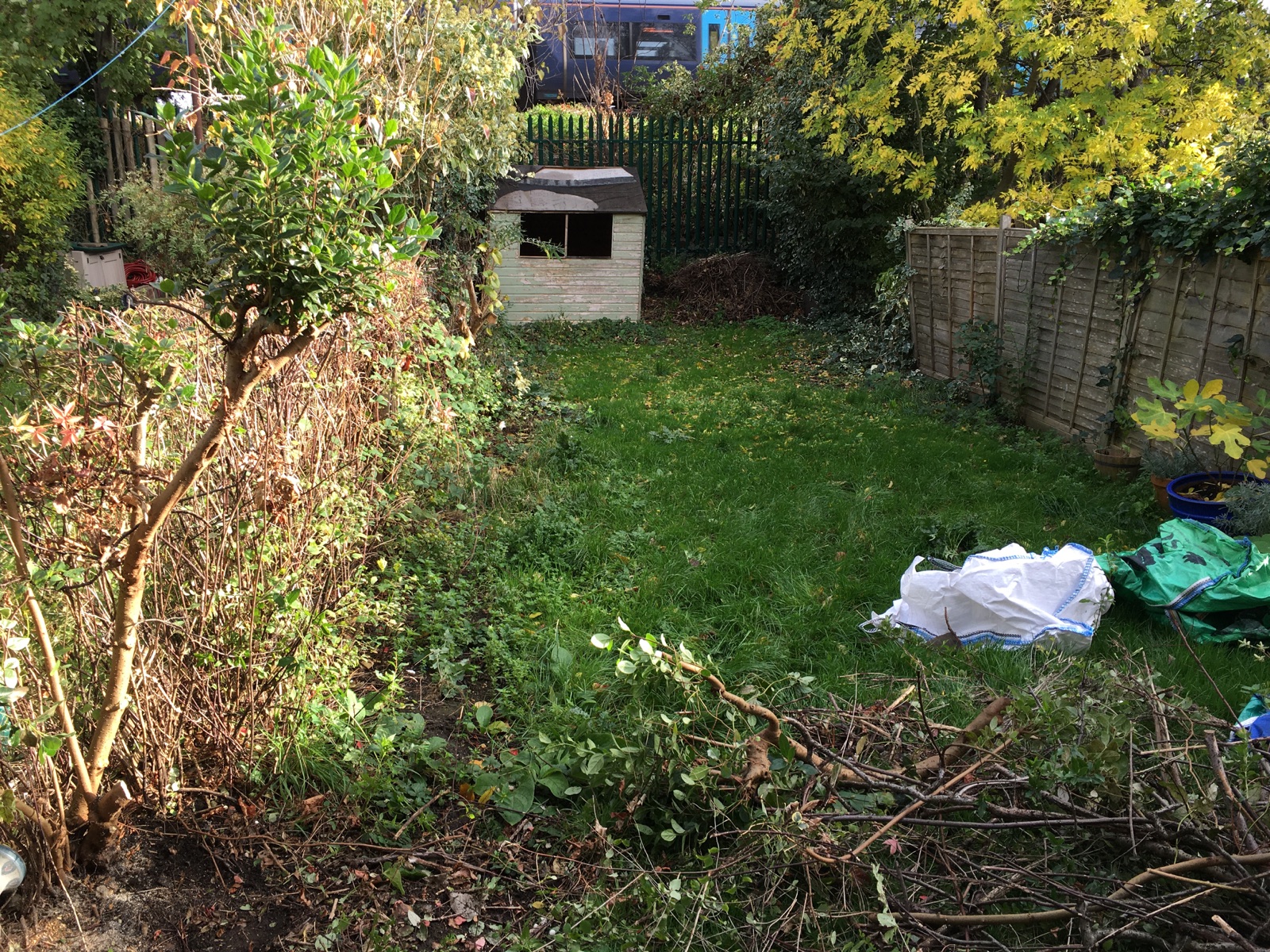 Garden before clearance, with overgrown borders and cut branches