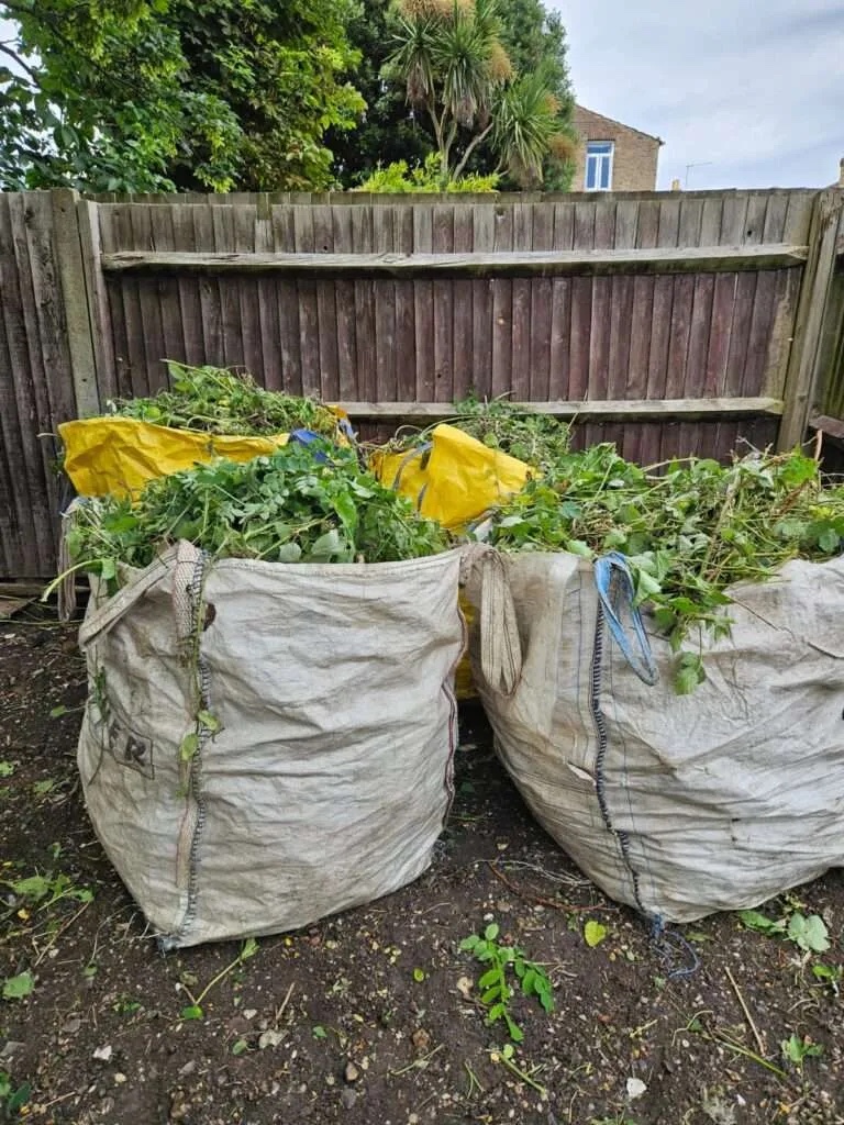 Garden waste collected in large bags after a one-off tidy-up