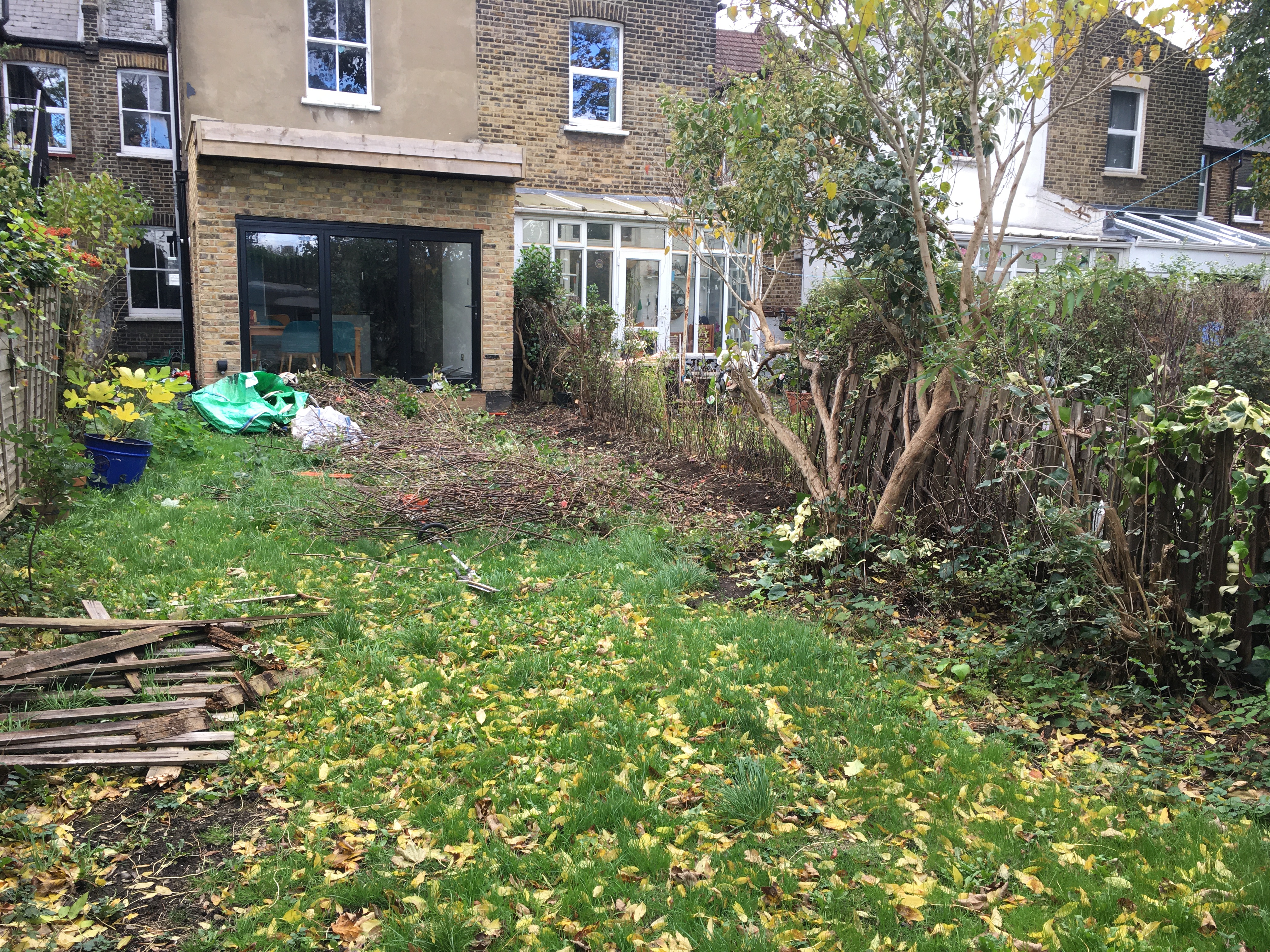 Overgrown rear garden before clearance and landscaping work